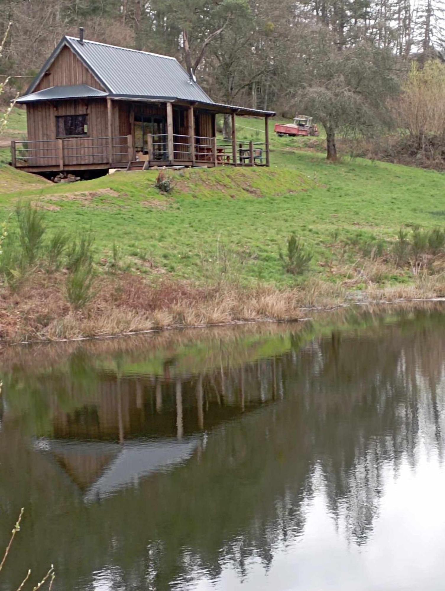 A La Cabane Des Bois Dessus Tiny Gite Alligny-en-Morvan Ngoại thất bức ảnh